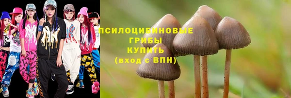 ешки Новодвинск