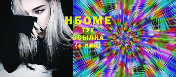 ешки Новодвинск