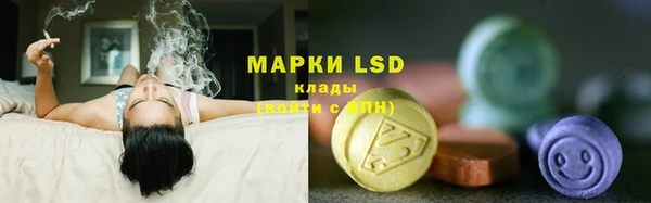 ешки Новодвинск