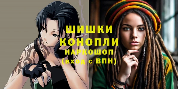 ешки Новодвинск